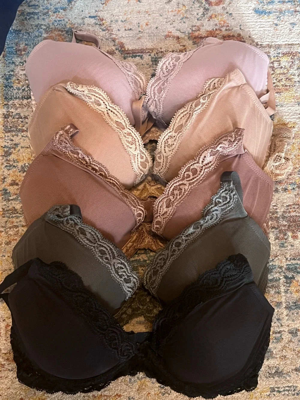Natori Feathers Bra Bundle